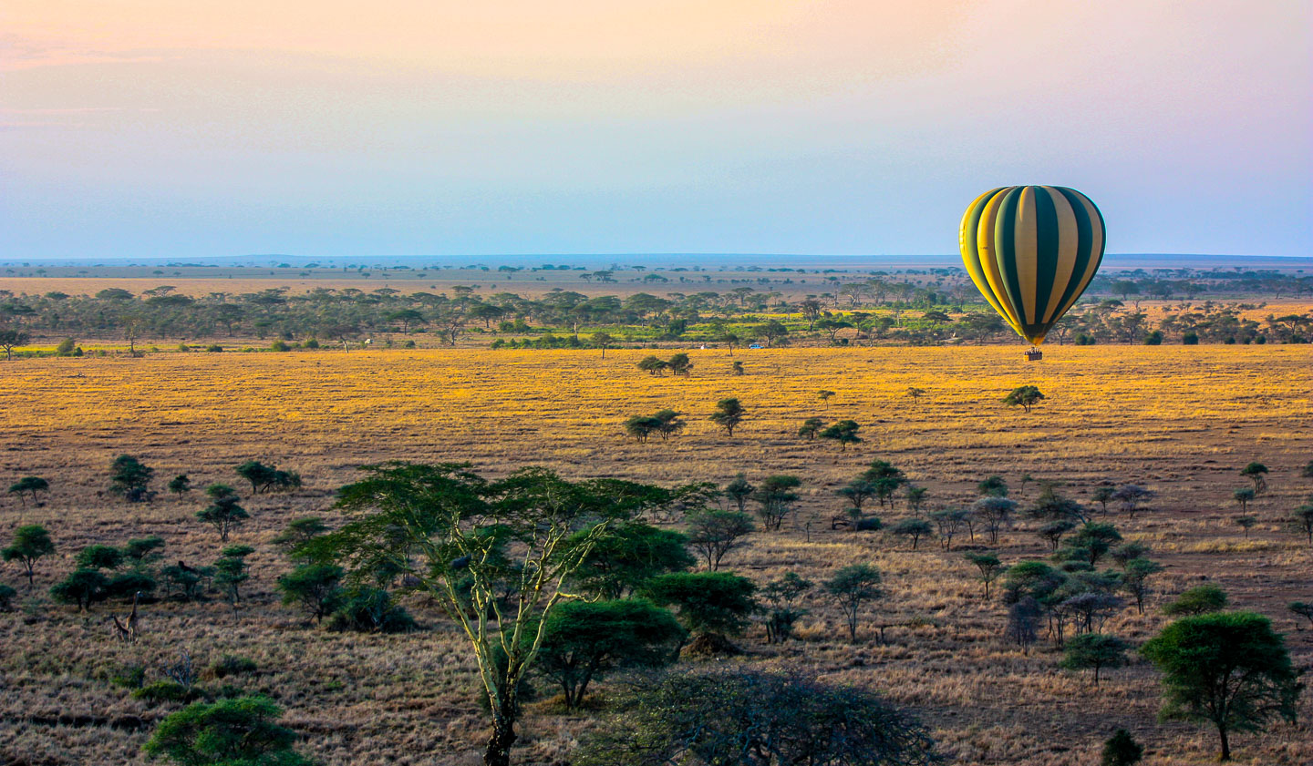 Luftballong Serengeti